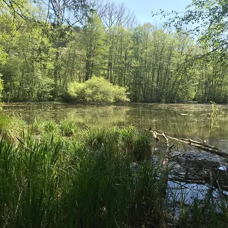 Grosse Und Helle 3 Zi In Lossburg-betzweiler, Schwarzwald * Loßburg