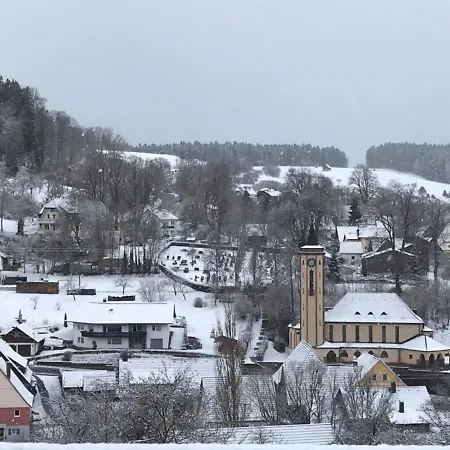 Grosse Und Helle 3 Zi In Lossburg-betzweiler, Schwarzwald Daire Loßburg