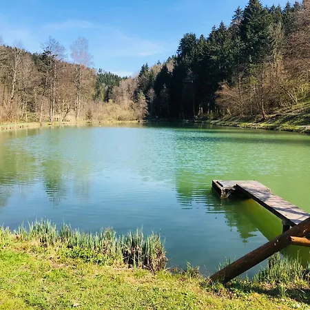 Grosse Und Helle 3 Zi In Lossburg-betzweiler, Schwarzwald Apartmán *