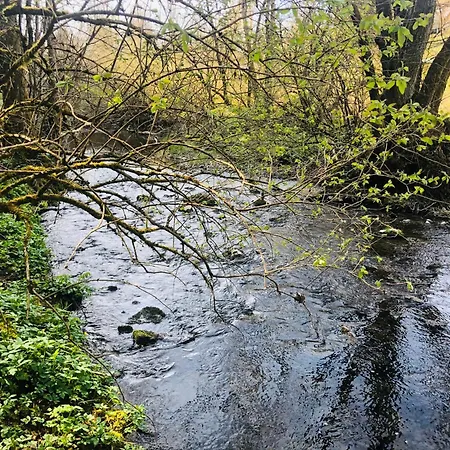 公寓 Grosse Und Helle 3 Zi In Lossburg-betzweiler, Schwarzwald *