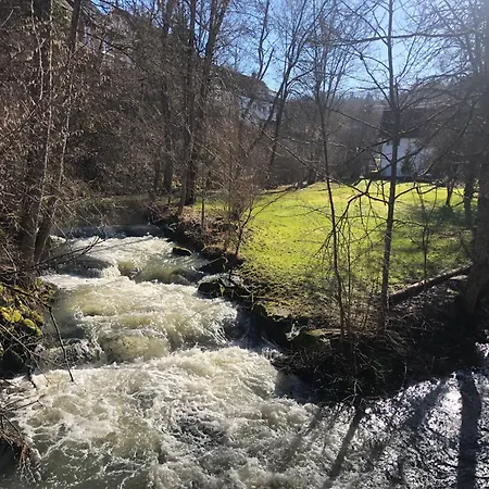 Grosse Und Helle 3 Zi In Lossburg-betzweiler, Schwarzwald Appartamento Loßburg