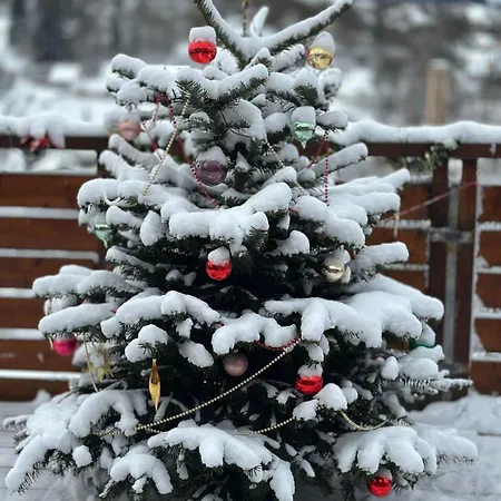 Appartamento Grosse Und Helle 3 Zi In Lossburg-betzweiler, Schwarzwald Loßburg